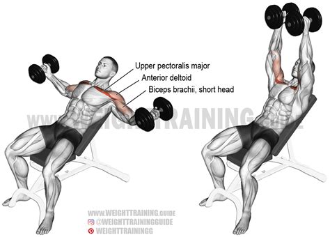 dumbbell flyes|How to Do Dumbbell Chest Fly: Muscles Worked & Proper Form